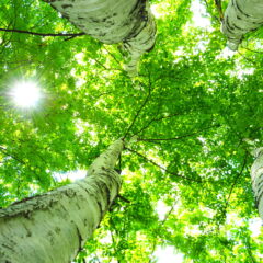 リラックスや気分転換の方法をご紹介します