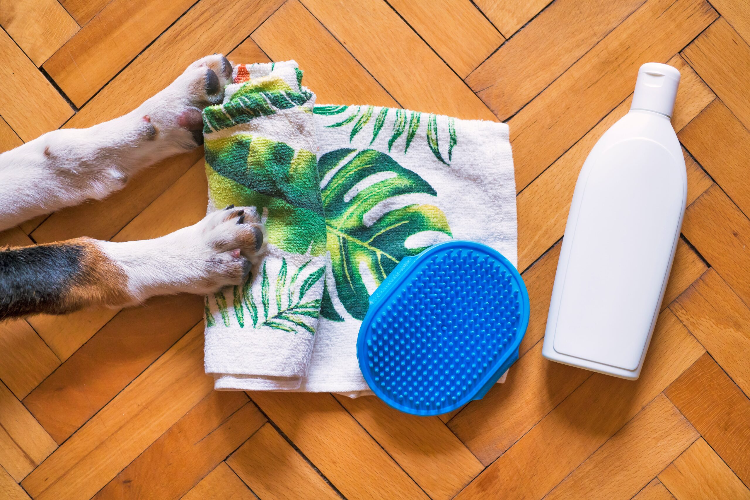 お風呂セット犬の足がお勧めしてる