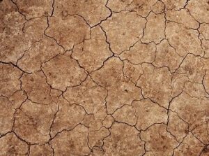 乾燥した土地