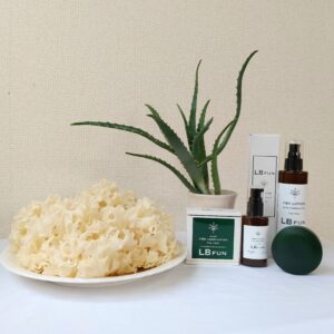 はなびらだけとアロエ アロエローションと石鹼